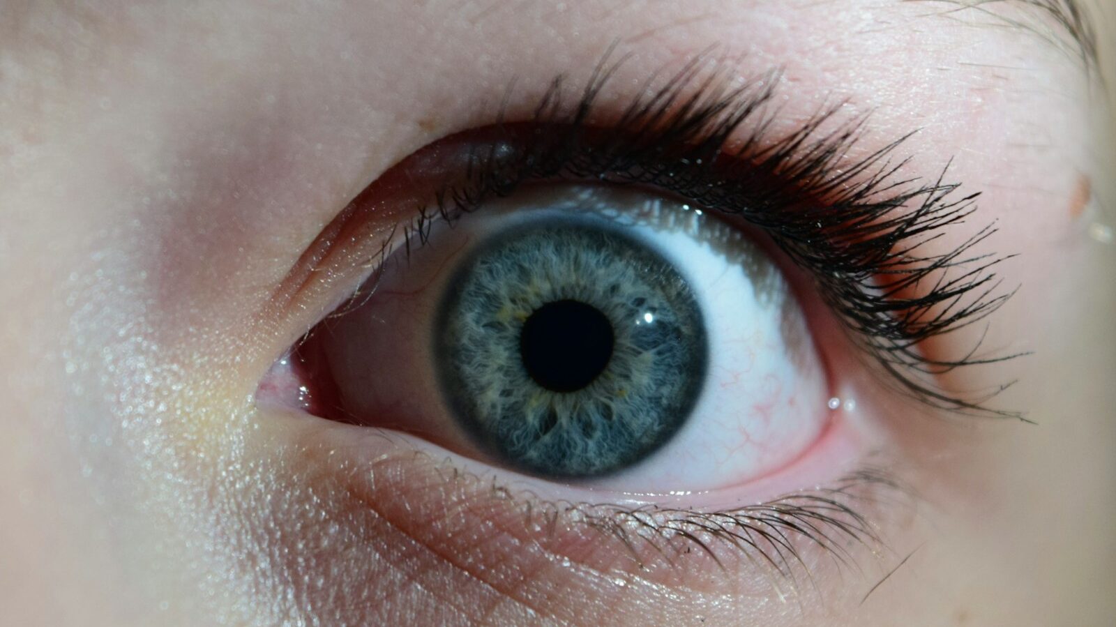 a close up of a person's blue eye