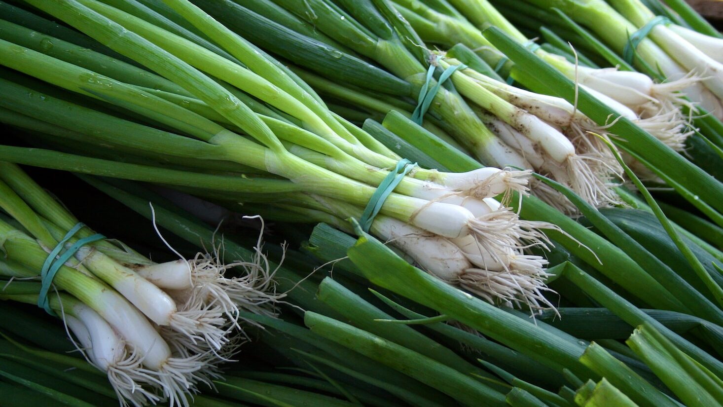 green and white vegetable on brown wooden table