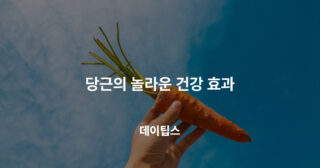 당근의 놀라운 건강효과