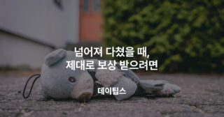 넘어졌을때 보상받는 방법, 영조물 배상보험