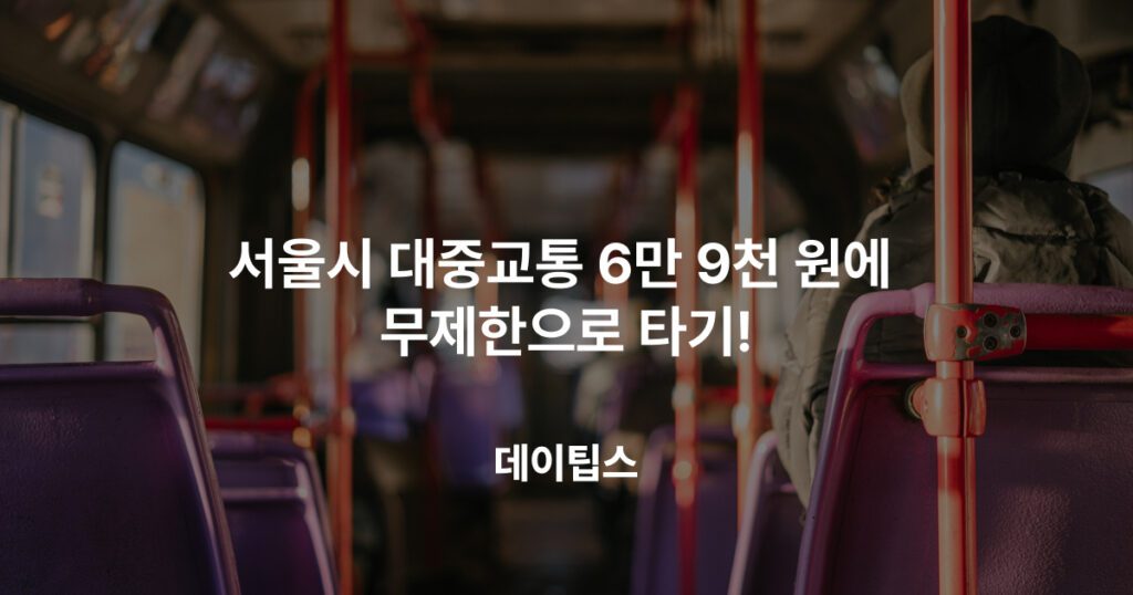 서울시 대중교통 6만 9천원에 무제한으로 타기