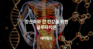 항산화와 간 건강을 위한 글루타치온