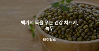 백가지 독을 푸는 건강 치트키, 녹두