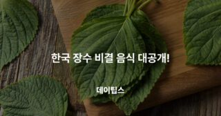 한국 장수 비결 음식 대공개