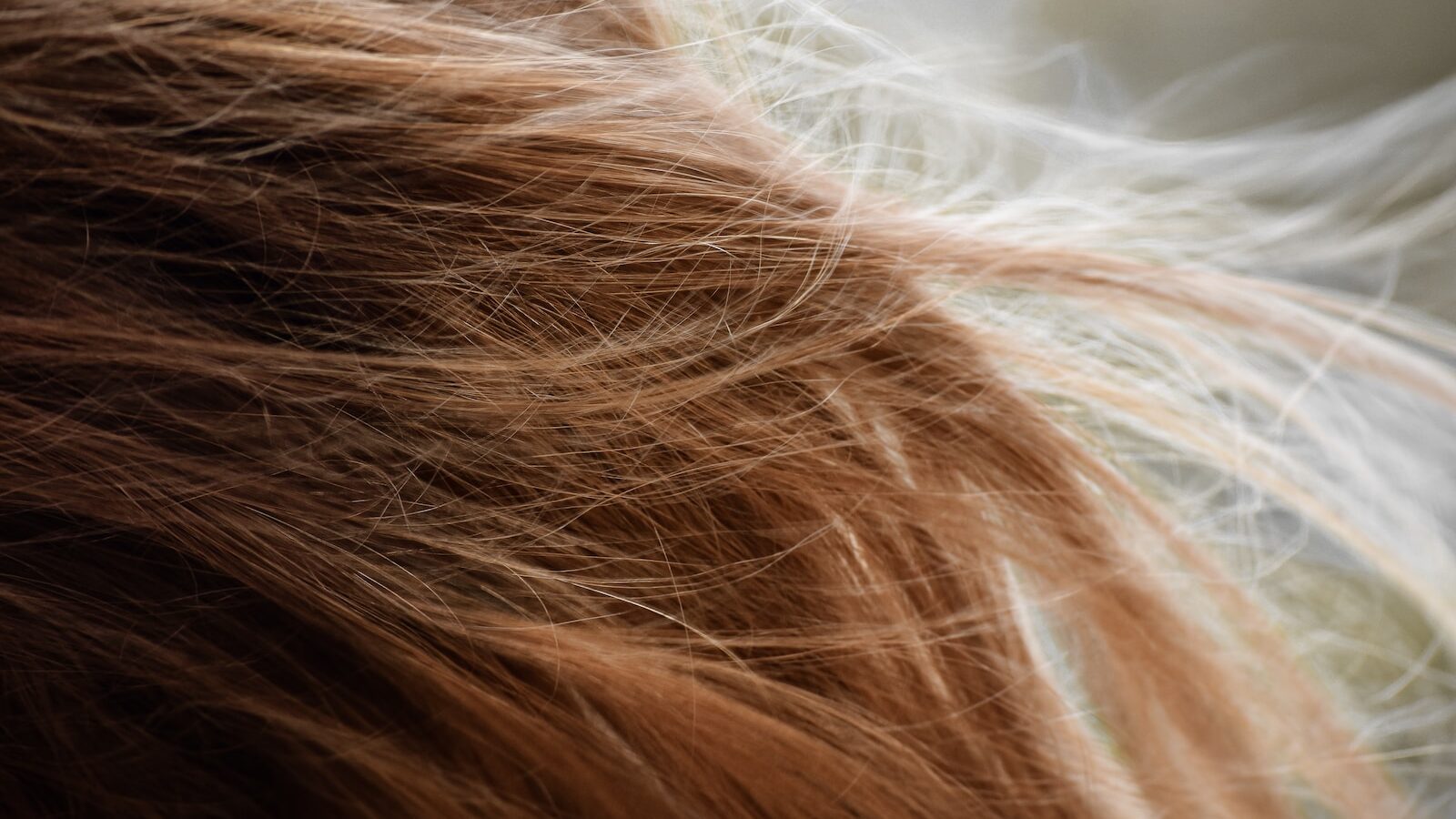 brown hair on white textile