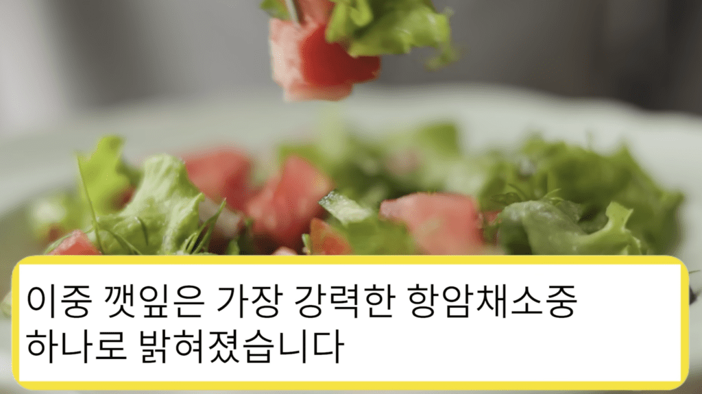 깻잎은 가장 강력한 항암채소 중 하나로 밝혀졌습니다.